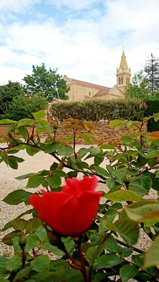 Les Jardins Du Castel Gites Annick Et Jean Paul Saint-Georges-d'Esperanche 외부 사진